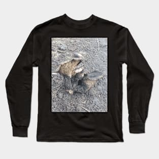 Old Oyster Mushroom Long Sleeve T-Shirt